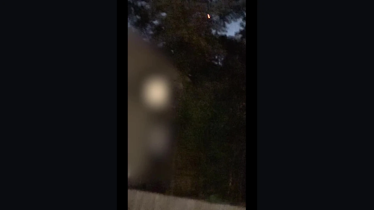 Brightened frame from the FBI-released backyard eyewitness video showing a small orange-red glowing orb among dark trees at dusk