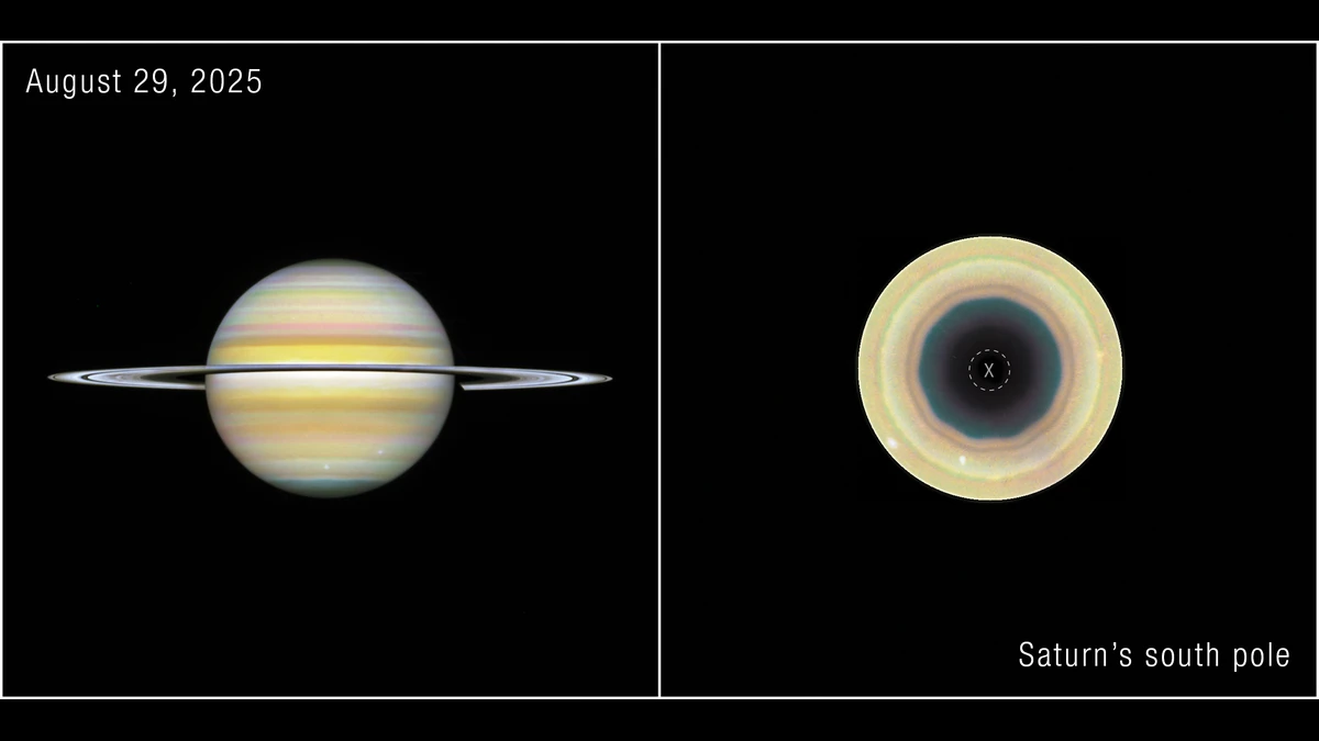 Two Hubble views of Saturn from 29 August 2025: the full planet with its rings on the left, and a view straight down onto the south pole on the right showing a dark ten-sided region