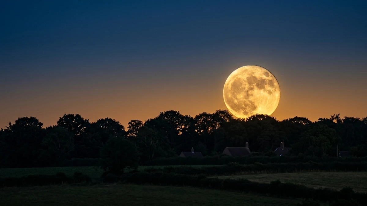 A golden full moon hanging just above a silhouetted treeline and rooftops in the warm light of a summer evening