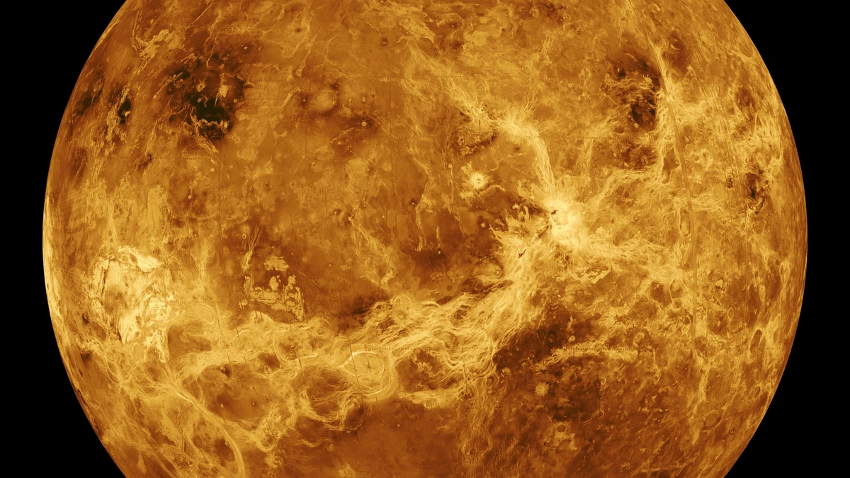 Radar map of Venus showing its surface features, with long dark rift valley systems cutting across the highlands