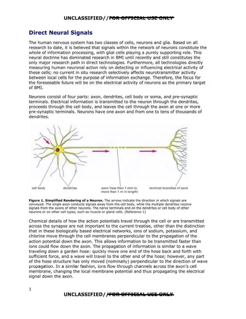 A diagram describing the directionality of signal transmission within biological systems.