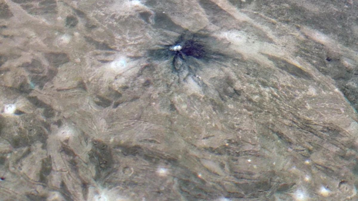A small crater on Ganymede with dark rays spreading across lighter grooved ground, in enhanced colour from Juno's JunoCam