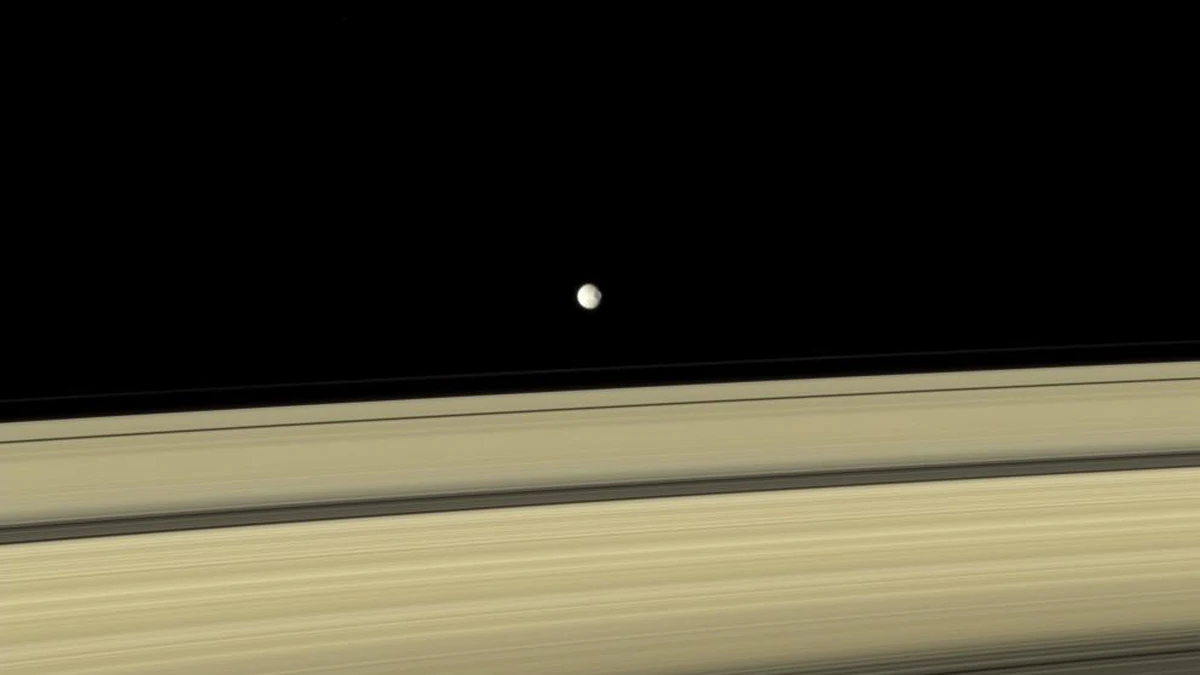A small grey Mimas hanging in black space above the golden-brown bands of Saturn's rings, in natural colour, photographed by Cassini