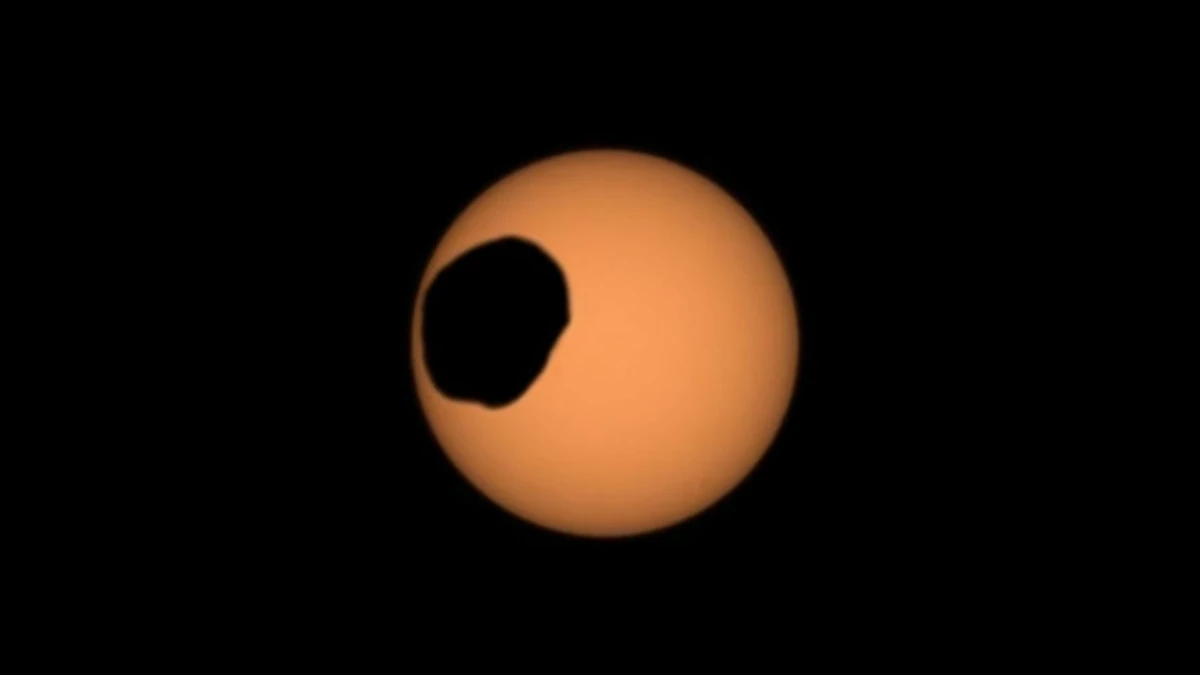 The orange disc of the Sun with the black, lumpy silhouette of Phobos crossing in front of it, seen from the surface of Mars by the Perseverance rover