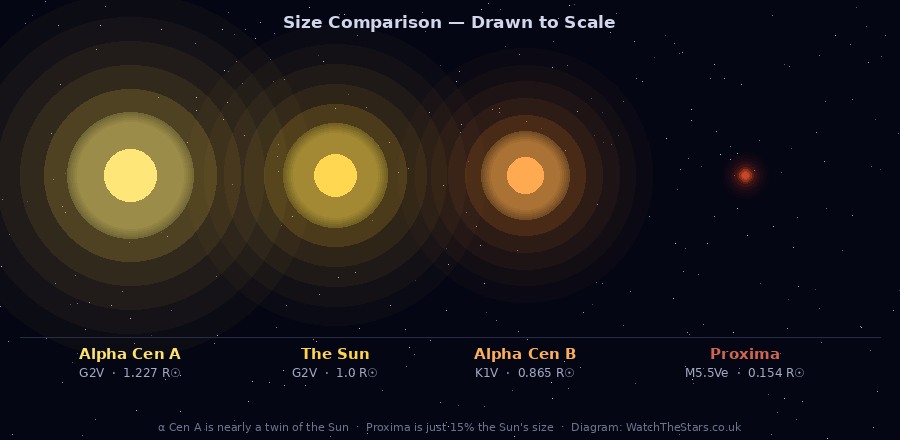 Size comparison of Alpha Centauri A, the Sun, Alpha Centauri B, and Proxima Centauri drawn to the same scale — A is the largest, Proxima the smallest