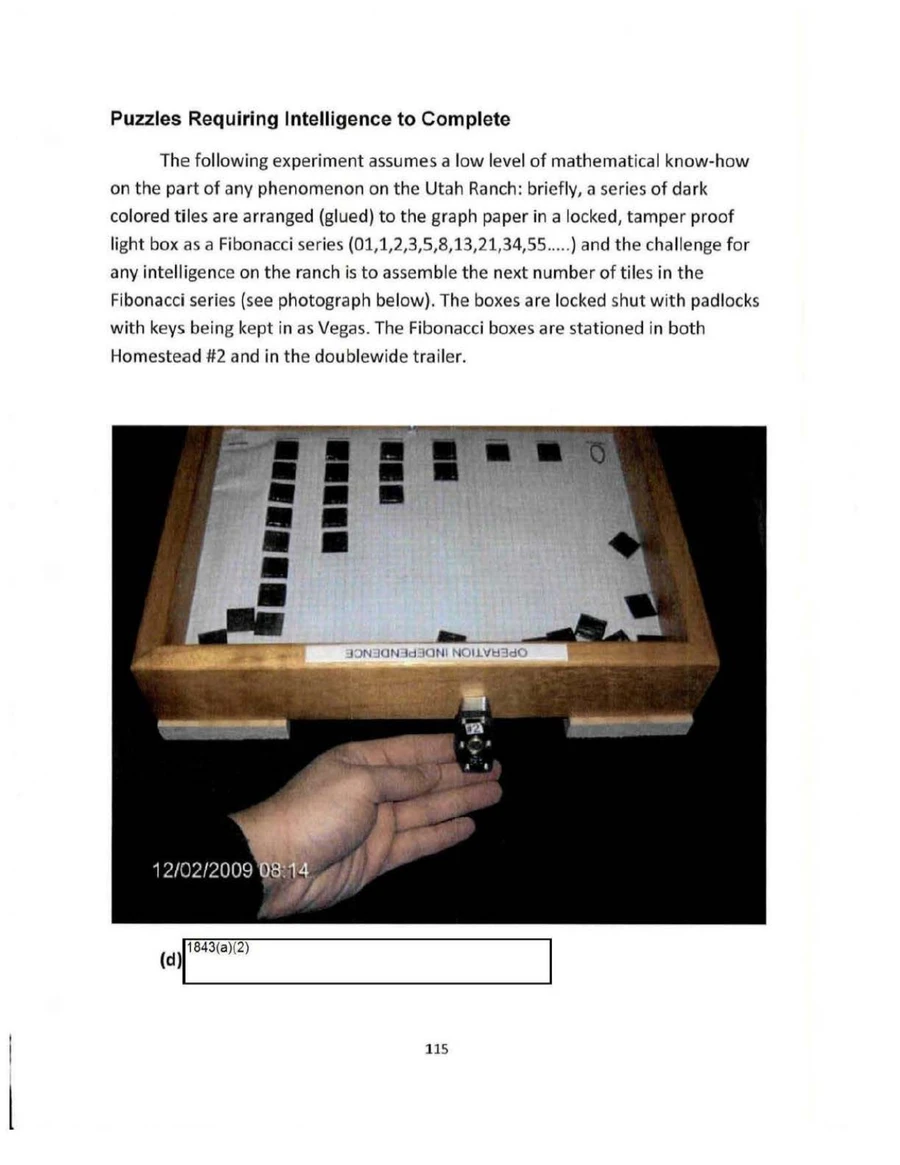 Page from BAASS's November 2009 report headed Puzzles Requiring Intelligence to Complete: a photo of a wooden light box with dark tiles glued to graph paper in columns that grow in a Fibonacci series, and a hand holding up its padlock