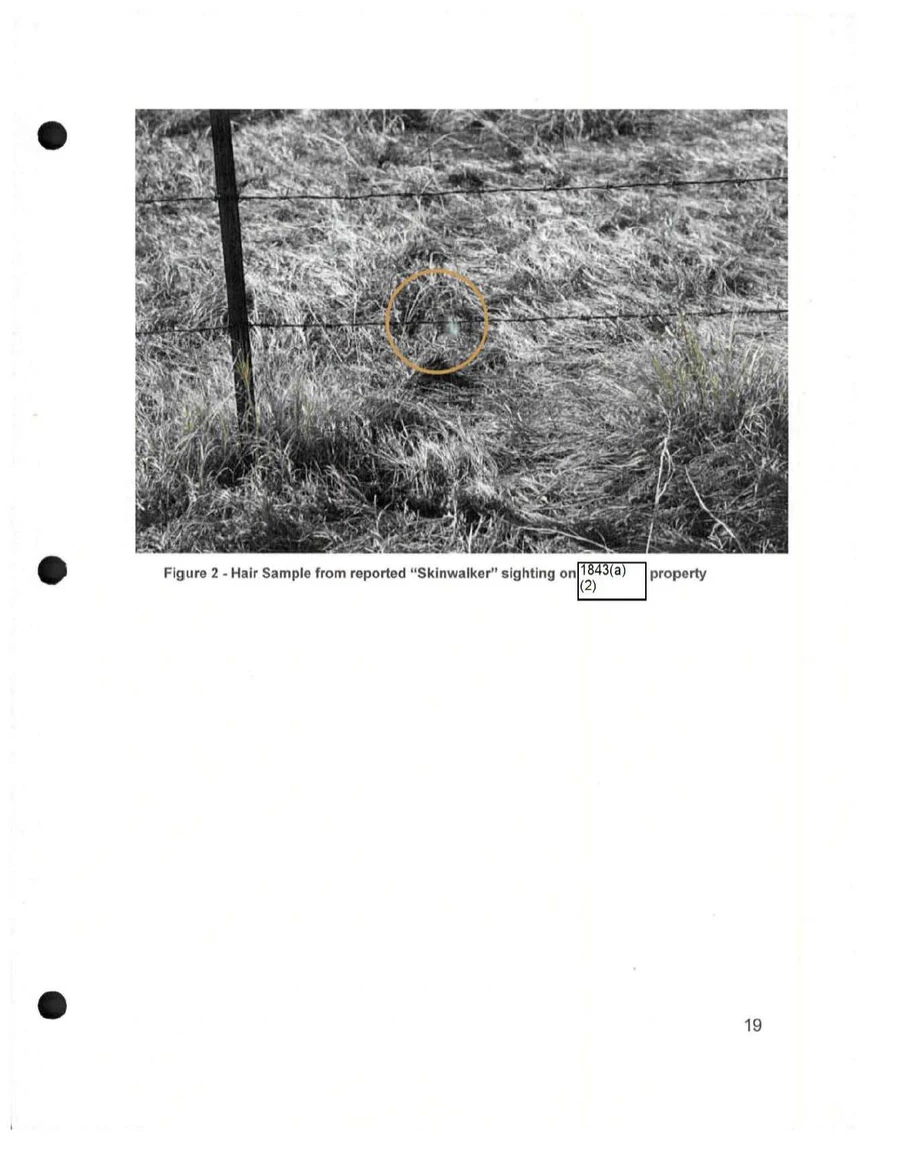 Figure 2 from the BAASS report: a black-and-white photo of a fence post and two strands of barbed wire in long grass, with an orange circle round a small tuft of hair on the lower wire