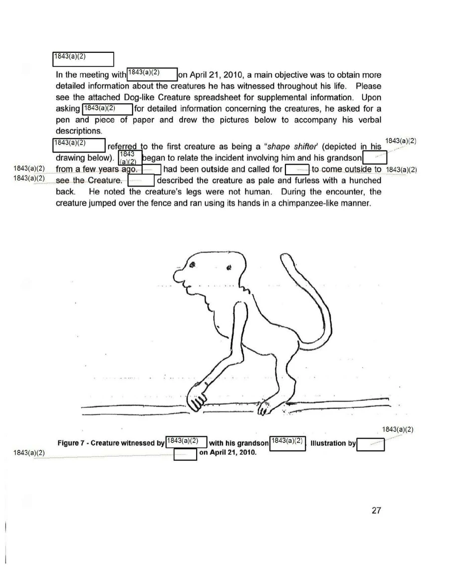 Report page with a pen sketch labelled Figure 7: a thin, monkey-like creature with a round head and a long curling tail, crouched on a fence rail, below interview notes with names redacted