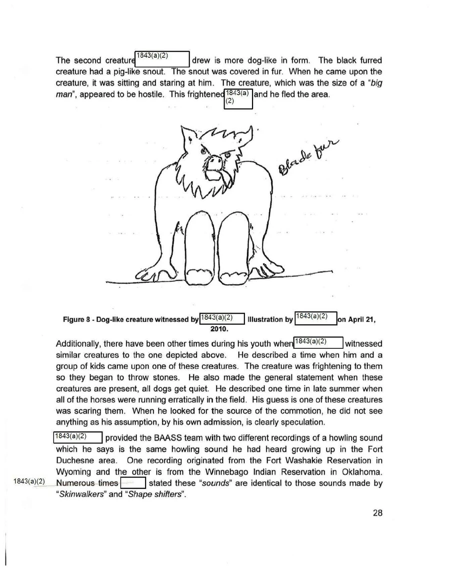 Report page with a pen sketch labelled Figure 8: a seated, front-facing furry creature with pointed ears, heavy brows and a broad snout, annotated Black fur
